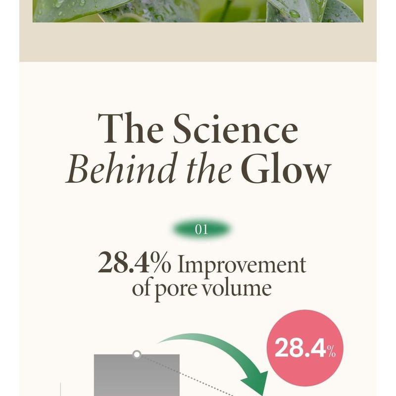 AXIS - Y - Beifuß Porenklärendes Abwasch-Pack