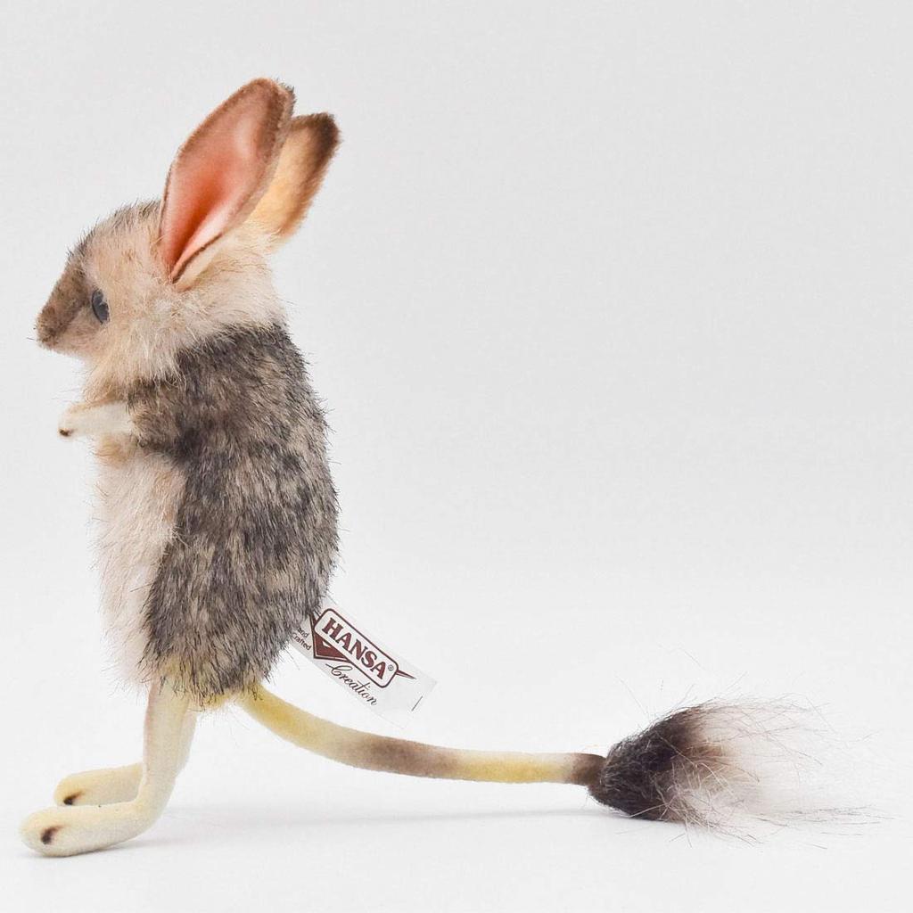 BH7497 HANSA Jerboa 19