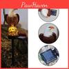 Exquisite Led Solar Eagle Lamp Waterproof Outdoor Garden Courtyard Lighting