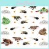 Detailed Pvc Triangle Leaf Frog Growth Cycle Model Perfect For Educational Displays