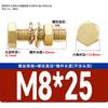 Copper Hex Bolt & Nut Washer Set