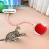 Smart Automatic Cat Teasing Ball: Interactive Toy with Birdsong and Dragonfly Tail for Self-Amusement and Energy Relief