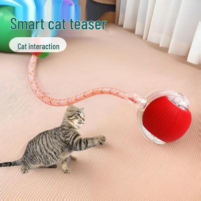 Gatti – Giocattoli per gatti