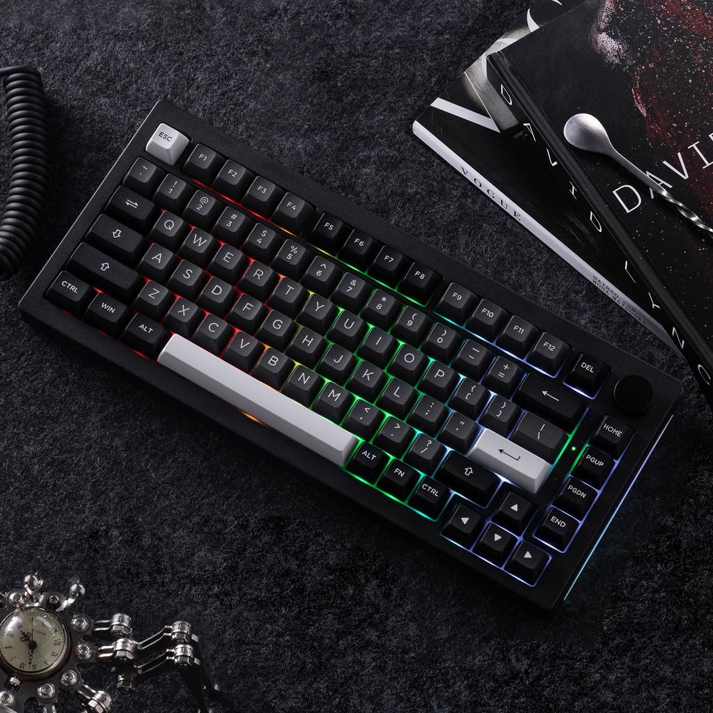 Akko 5075B Plus Black Silver English USB Bluetooth Wireless V3 Cream Blue Pro Magnetic Switch Tenkeyless Mechanical Keyboard with Gasket 3000mAh RGB