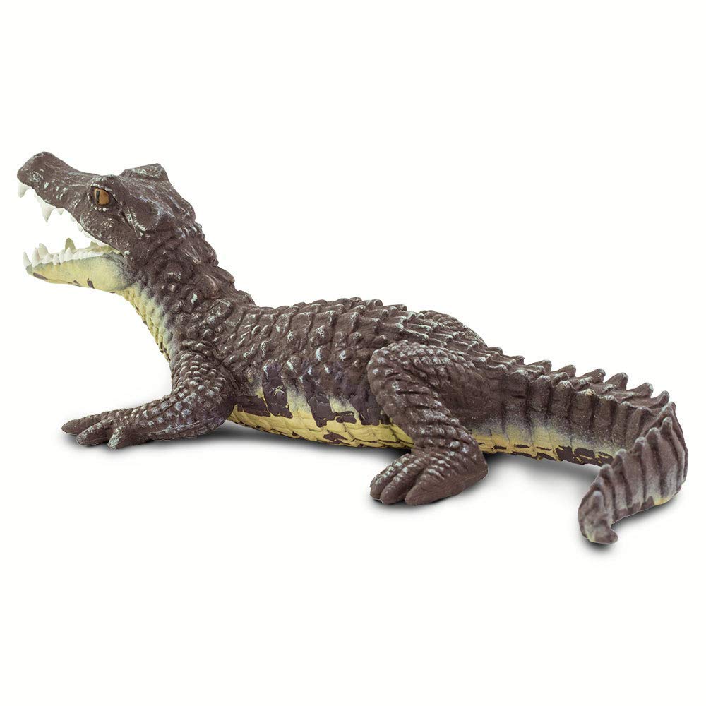 Safari Caiman Crocodile Figure 100238