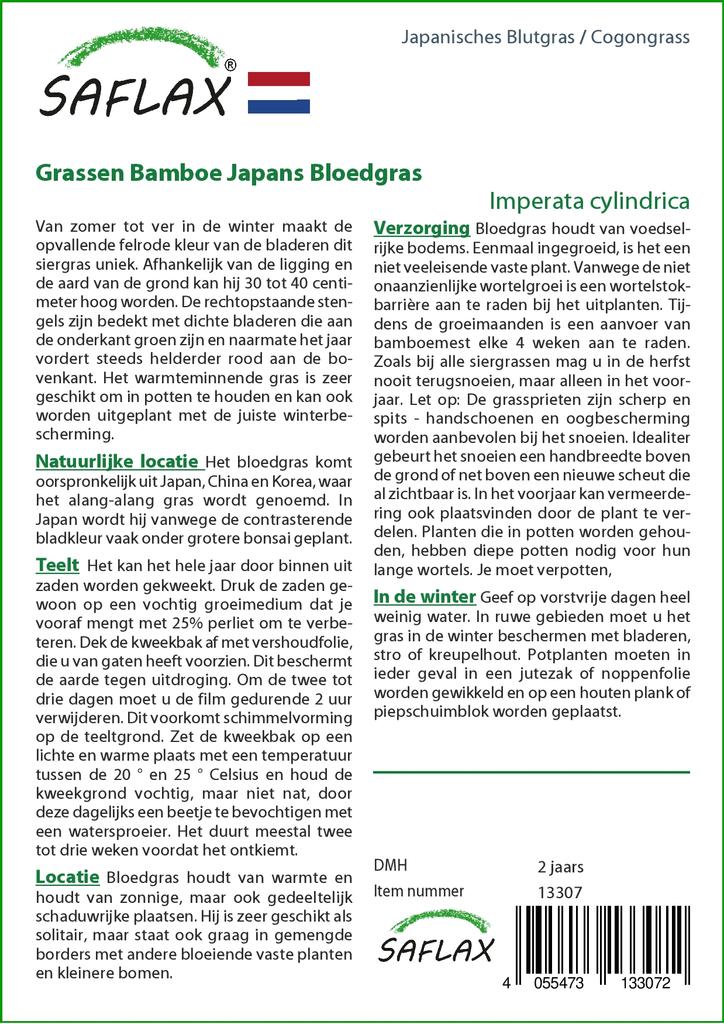 SAFLAX Garden in the Bag - Cogongrass - 50 semen - Se substrátem v padnoucím sáčku - Imperata cylindrica