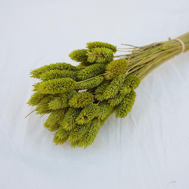 Natural Dried Statice Flower Bouquet - Everlasting Decoration for Vase & DIY Arrangements