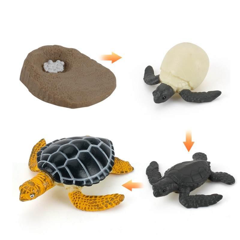 Animal Model Set Pvc Collectible Insect Bird Reptile Amphibian For Education And Display