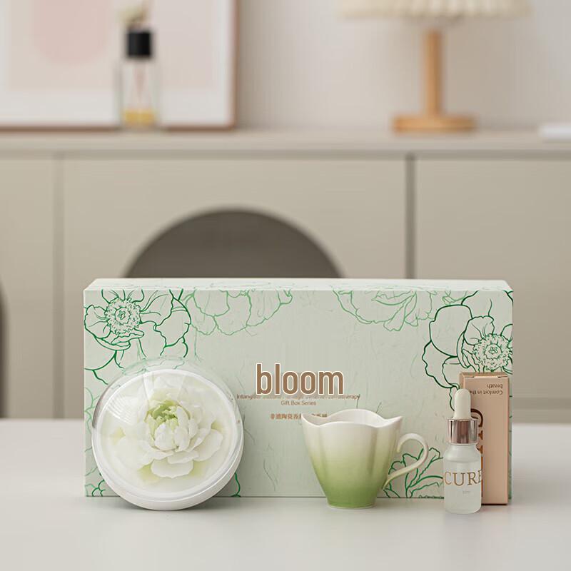 Elegant Light Green Gradient Ceramic Tea & Aroma Gift Set