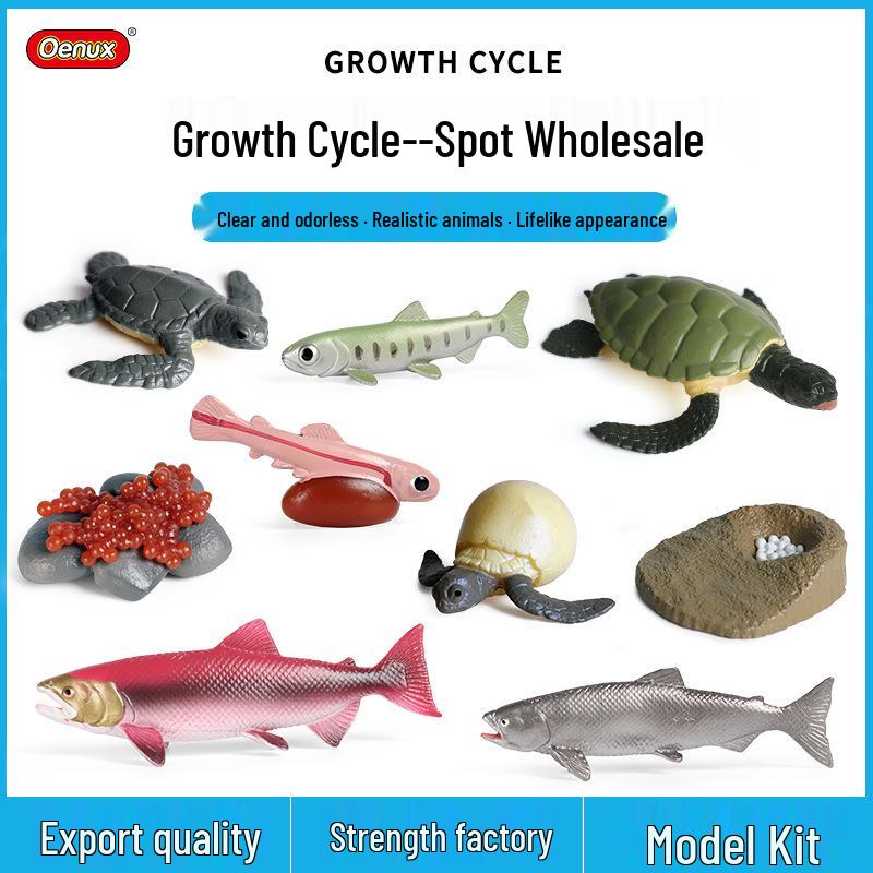 Animal Growth Cycle Simulation Toy Set: Solid Snail & Frog Models for Science Education