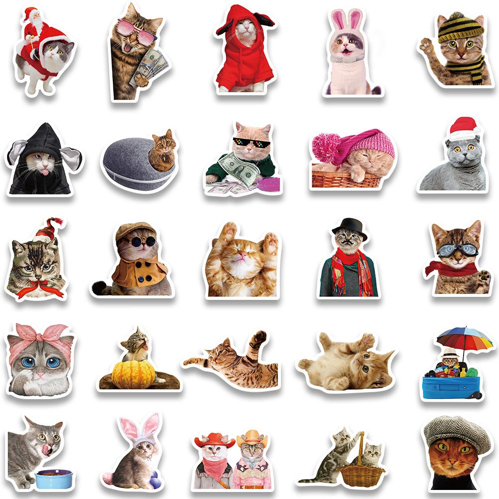 50PCS Cute Cat Stickers Vinyl Waterproof Funny Cats Decals for Water Bottle Laptop Skateboard Scrapbook Luggage Kids Toys