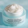 Peter Thomas Roth Water Drench Hyaluronic Acid Moisturizer 1.7 Oz 50 Ml