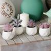 Tiita Purple Artificial Faux Succulents in Pots, Mini Purple Fake Plants for Women Desk, Small Realistic Faux Succulents for Home Office Accessories