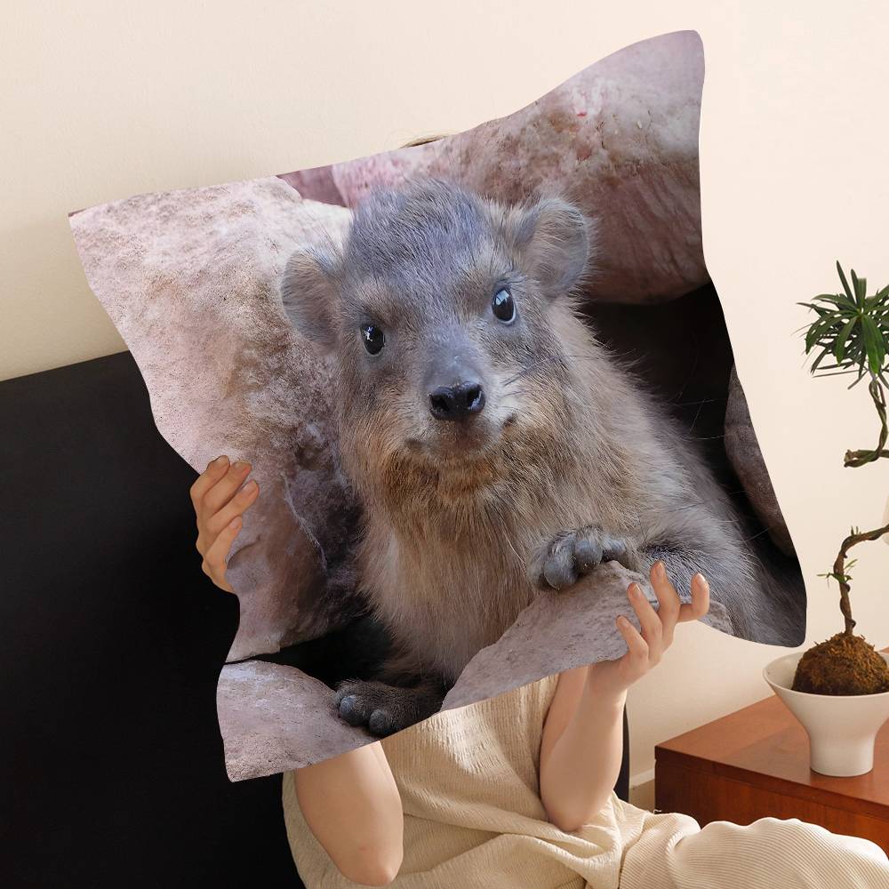 Rock Hyrax Animal Cushion Cover Pillow Cover Decor Pillowcase Printed Cushion Case for Couch