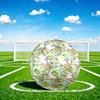 1pc Dinosaur Adventure Scene Theme Soccer Ball Football, Size 5, Lightweight PVC, Outdoor Training Soccer Ball,Gift C6581