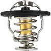 Motor – Sisteme de răcire auto