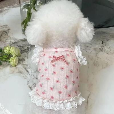 Ropa y calzado – Vestidos para perros