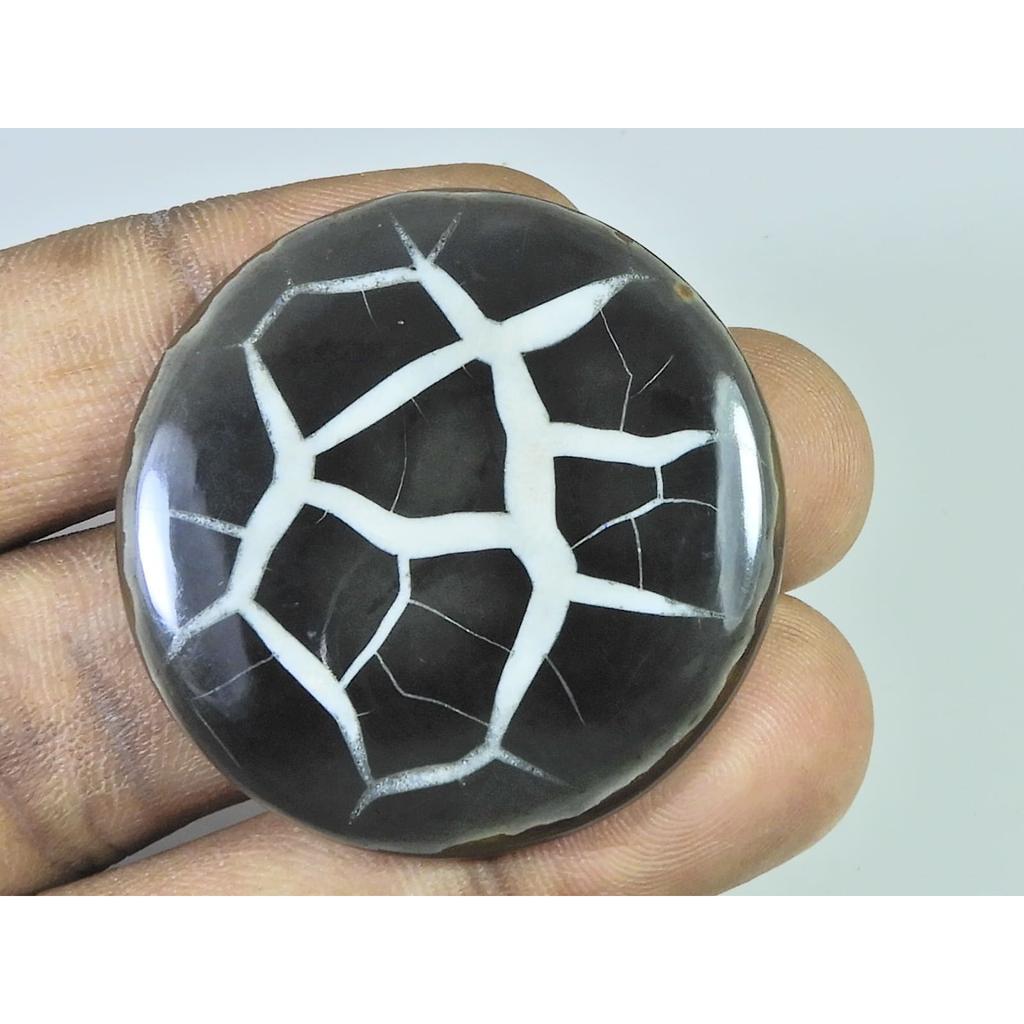74Cts.Natural Septarian Gronates Round Cabochon Loose Gemstone 39X39X04 MM D-572