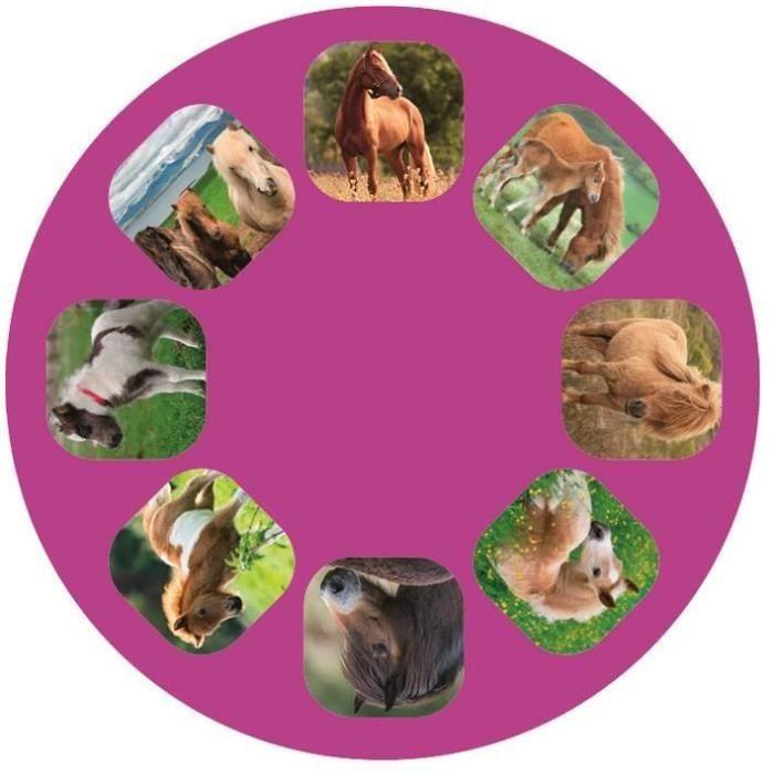 Lampe de poche - Moses - Projection chevaux - 11,7 cm - 24 images - Bleu/Rose