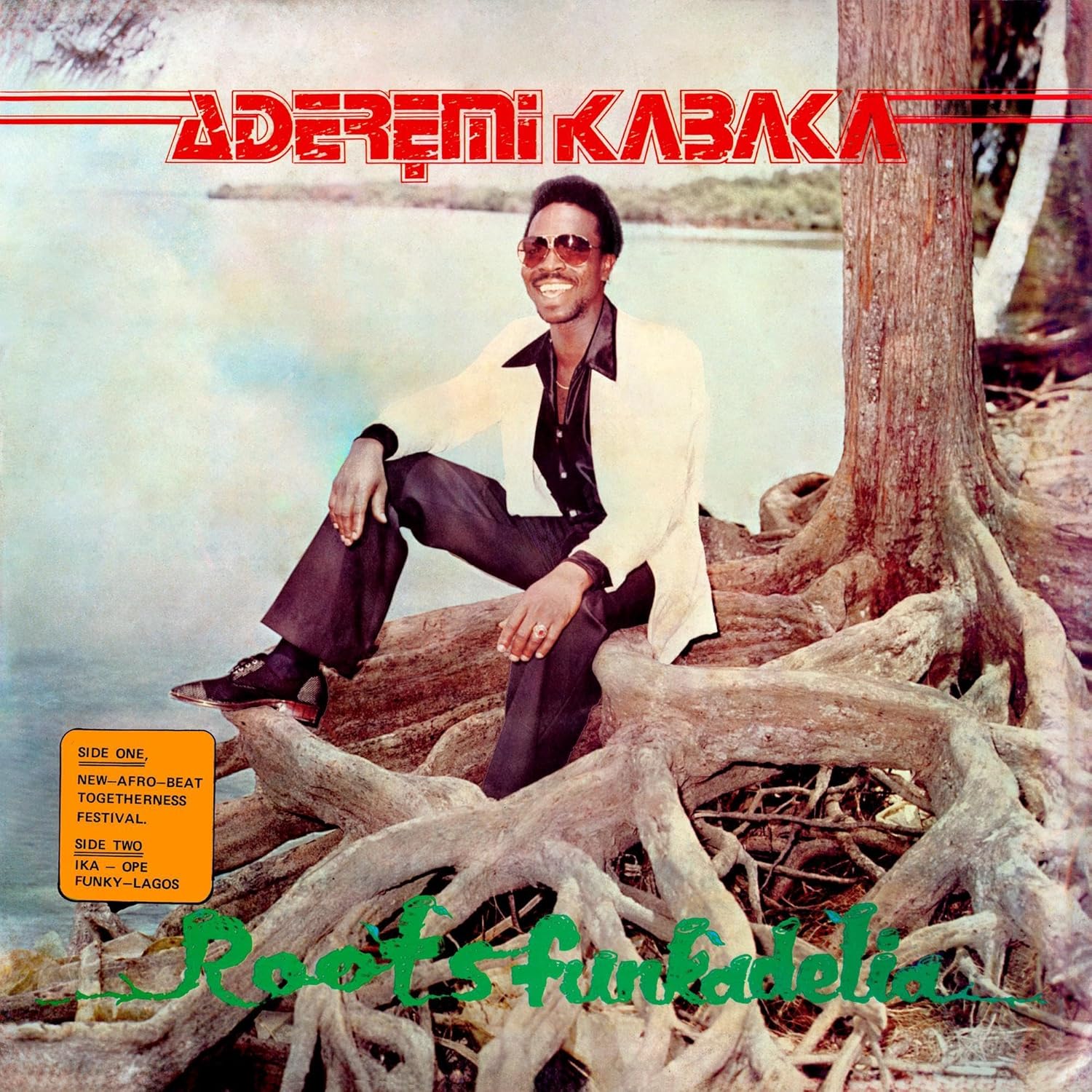 

LP Record REMI KABAKA - Roots Funkadelia BBE768ALP BBE 2024 UK Soul/Funk