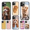 Cartoon Cavoodle Cavapoo Mobile Phone Cases Cover For iPhone 17 Air 16 16e 15 14 12 13 11 Pro MAX Apple Plus Coque