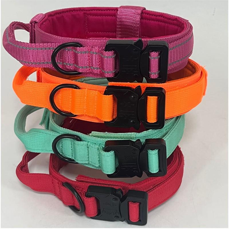 Tactical Nylon Dog Leash & Collar Set for Medium to Large Dogs - Military Grade Training Gear