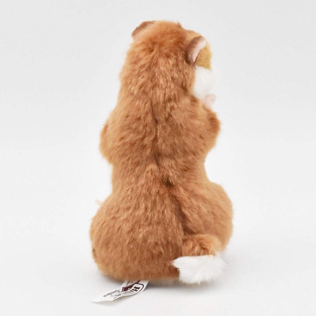 Hamster No.3739