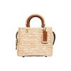 New Rogue Fabric Tote Bag Shopping Bag Handbag Small Size Women's Brown CJ635-B4RHR