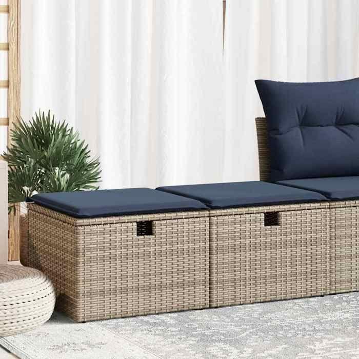 VidaXL Salon de jardin 2 pcs avec coussins gris résine tressée acacia, ensemble de canapés d'extérieur, salon de jardin 3328674
