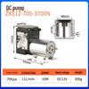 Spot Mini DC Electric Diaphragm Beauty Vacuum Pump