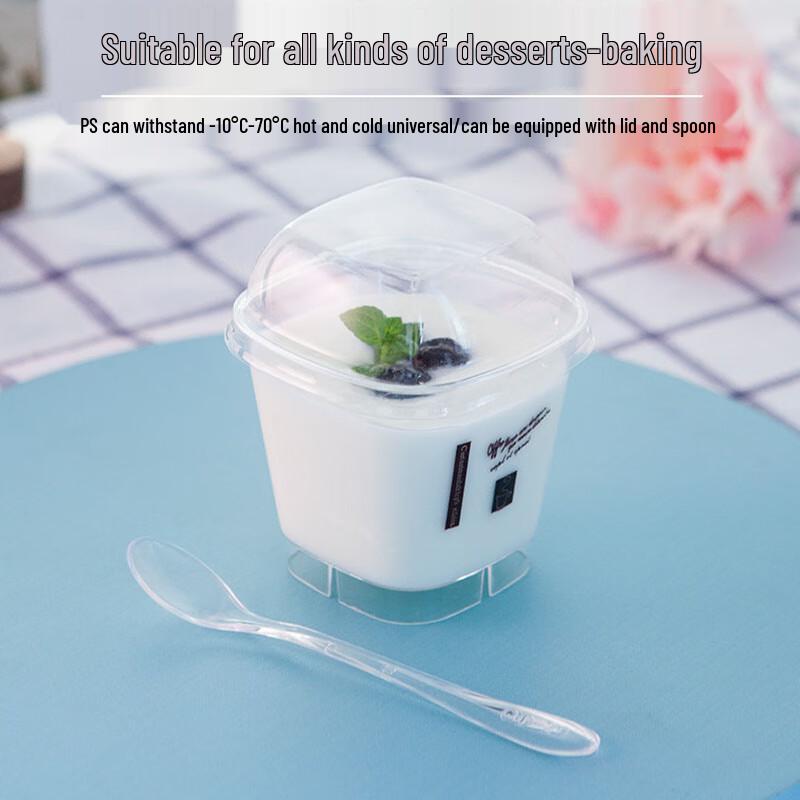 Pabei Disposable Hard Plastic Oval-Square Dessert Cups with Lids & Spoons, 40 Sets