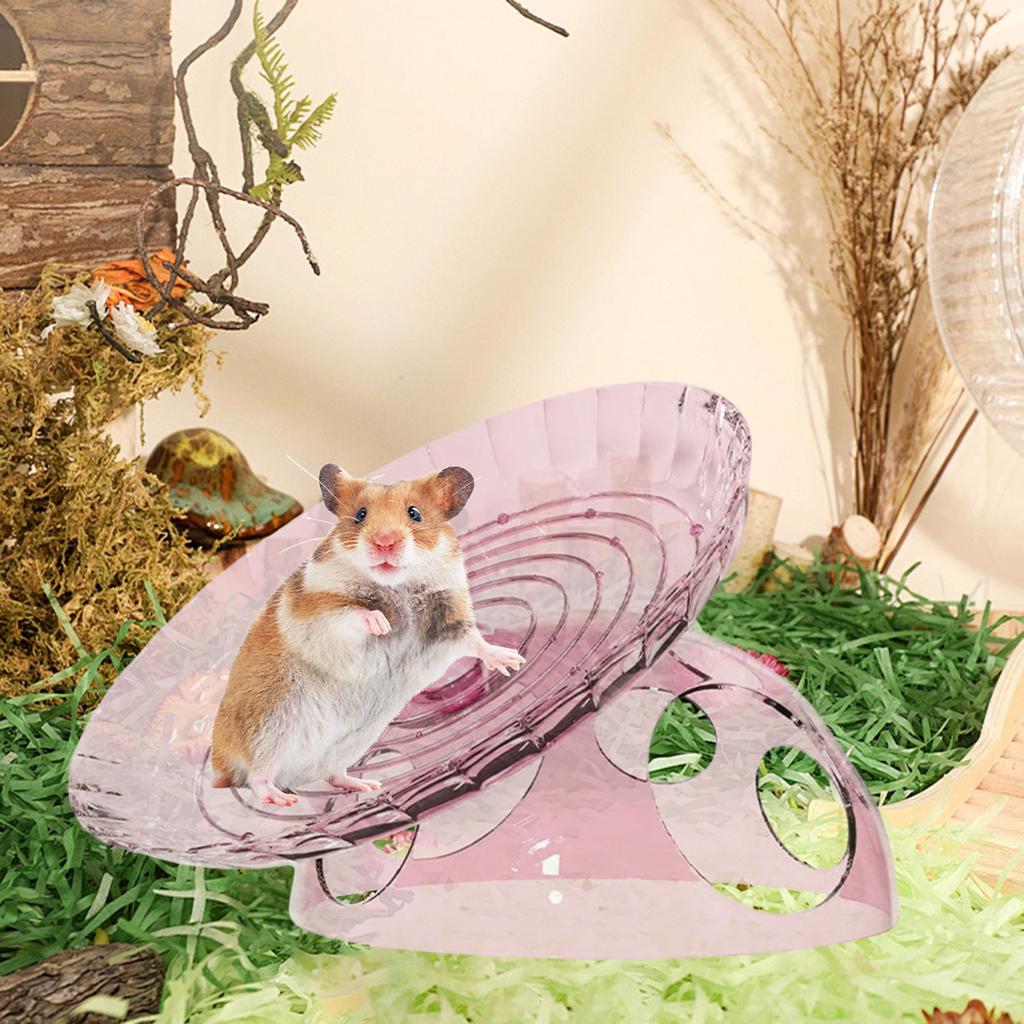 Hamster Exercise Wheel Multifunctional Hamster Toy Cage Accessories for Hedgehog Mice Rat Gerbil Small Animals Supplies