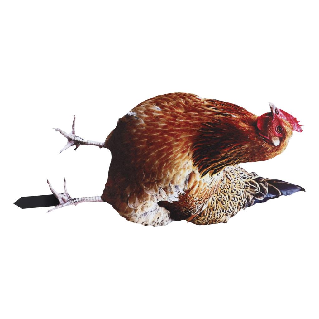 Chicken Sign Poles Acrylic Chicken Design Cute Garden Accessories