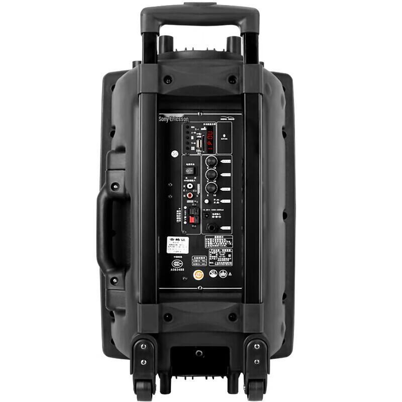 Soaiy SA-X35 12-inch Portable Karaoke Bluetooth Speaker with Dual Microphones