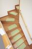 Sanko Just Place and Veterinarian Foldable Stair 15 For Made In Water Can Be Cut with Stick, Recommended, Mat, Pieces, Green, Pets, Dogs, Cats,
