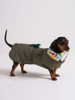 ANGEL DOG Premium Trench Puppy Raincoat Khaki