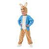 Peter Rabbit Boys Head 3D Costume
