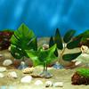 Decoration Hammock Fish Tank Simulation Fish Tank Plants Aquatic Plants Betta Leaf