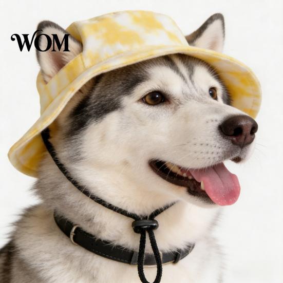Weiche Haustierhut Hund Sonne mit Ohrlöchern, Breitkrempen-Schutzhut, Verstellbarer Langlebiger Kordelzug für Kleine Und Mittlere Hunde Outdoor-Spaziergang Wandern