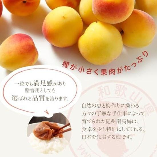 Kishu Ume Honpo Umeboshi Wakaari Honey Tsubure Reduced Salt Nanko Large Size Produced Domestic Manufacturing Content Approximately 2.7 800g (400g2)