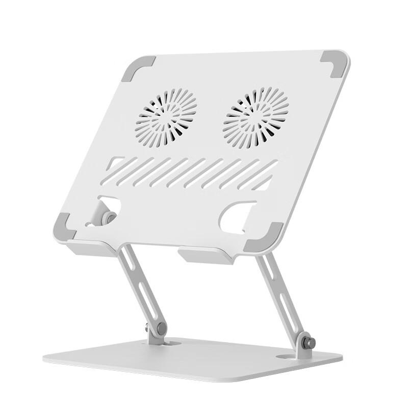 OLOEY Dual Fan Cooling Laptop Stand