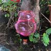 1Pc Automatic Flower Watering Machine Household Dripping Facilities Succulent Shower Lazy Plant Watering