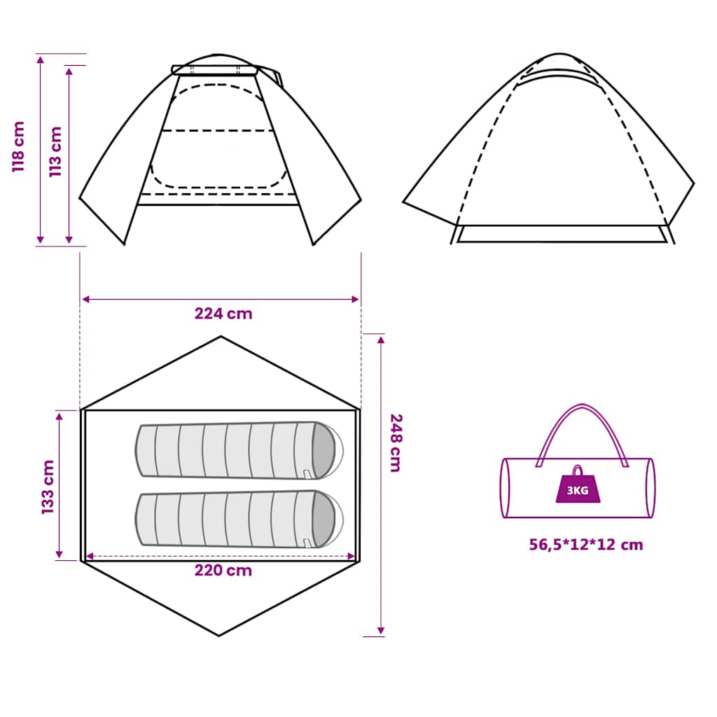 Dome Camping Tent for 2 Persons Blue Waterproof