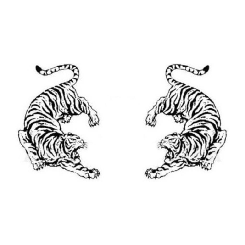 Twin Tiger Muay Thai Kickboxing Boxing MMA UFC Casual Shorts Gym Sport Unisex Men Women Workout Quick Dry Print Elastic High Waist Training