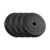 Bituminous Weight Set 4X1.25Kg 5Kg Hole 31Mm Classic Rebel Plate