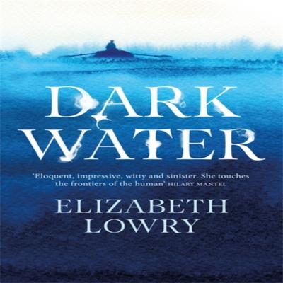 Dark Water by Elizabeth Lowry Hardback Book 9781786485625