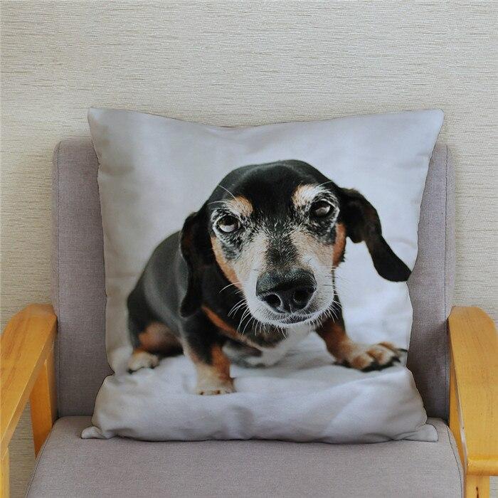 dog pillow covers