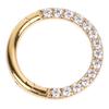 Nose   Hoop  3   Piercing Nose   Hoop Zirconia Decoration   Skin Friendly Exquisite Jewelry