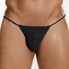 Bikini Boxer Briefs Mens Thong Underwear Comfortable Lace