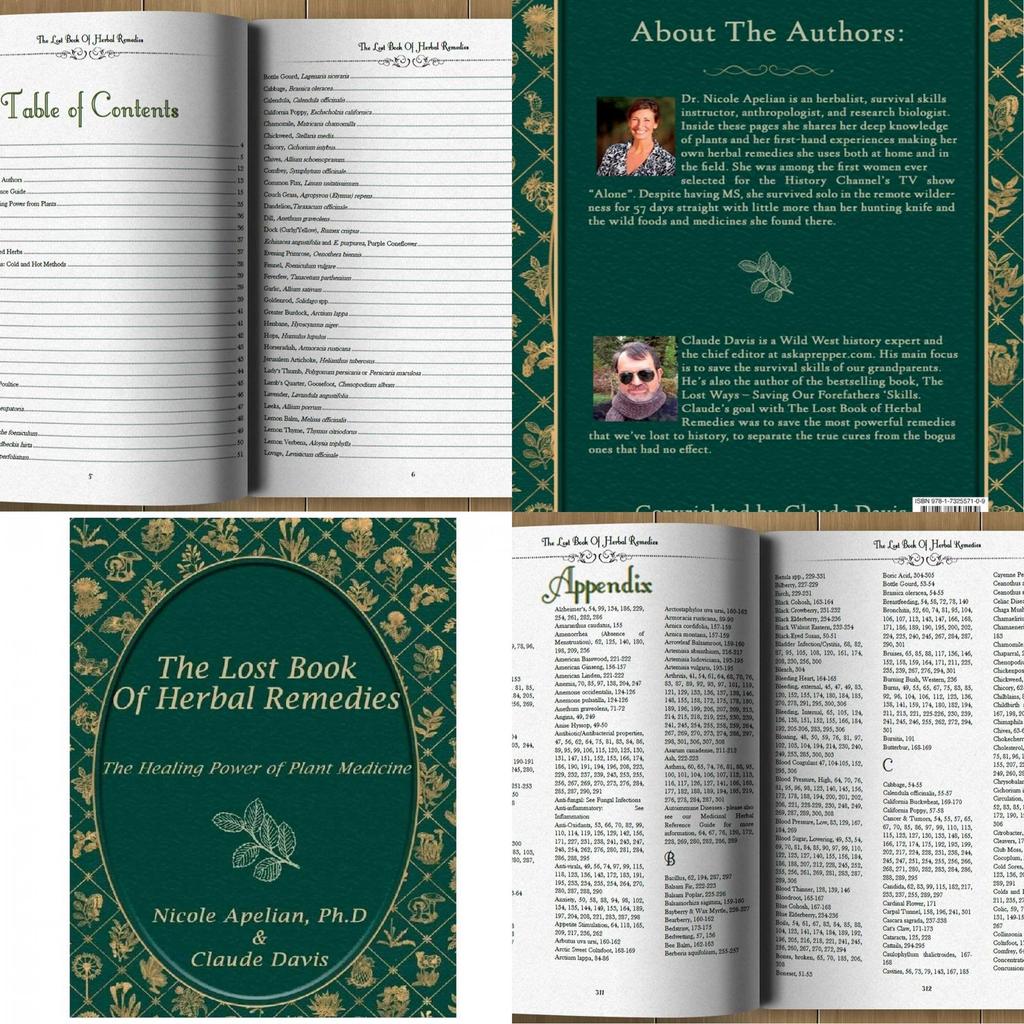 The Lost Book Of Herbal Remedies Comprehensive Guide To Natural Healing Solutions